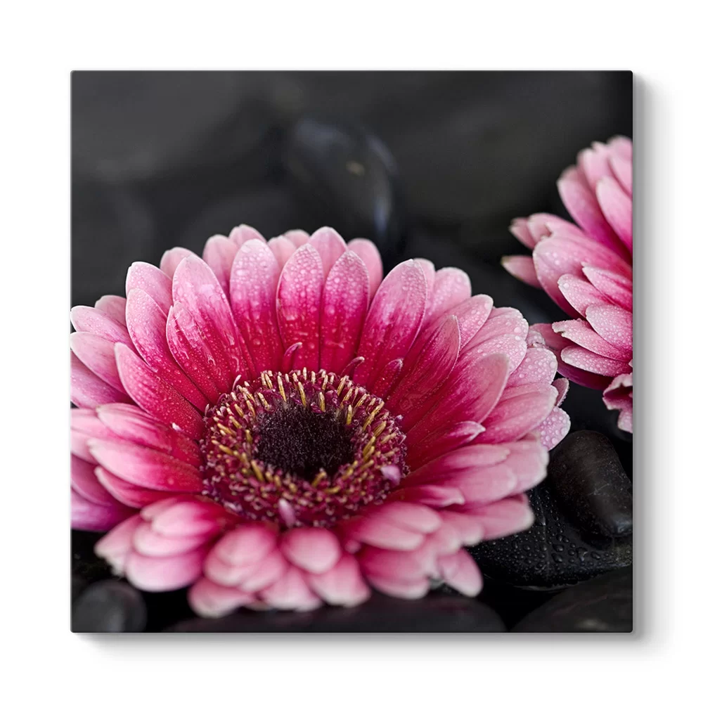 Gerbera Çiçeği Tablosu - Model 3